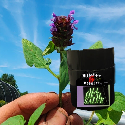 All-Heal Salve